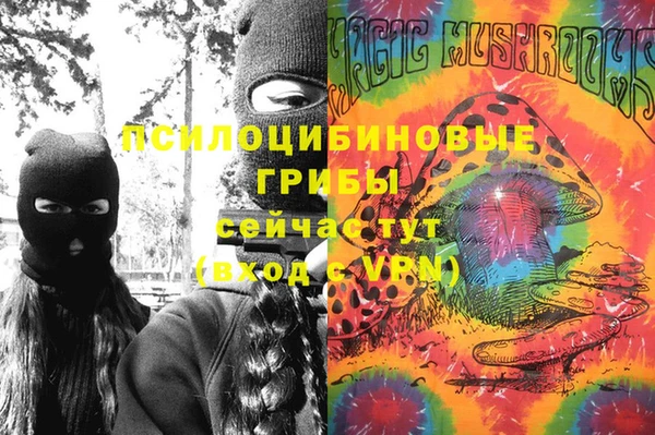 ECSTASY Богданович