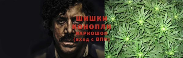 ECSTASY Богданович