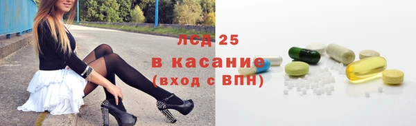 ECSTASY Богданович