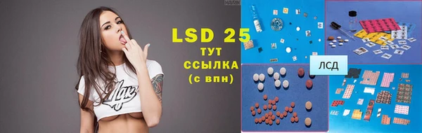 ECSTASY Богданович