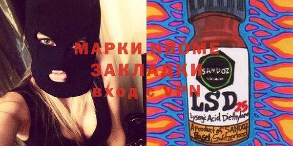 ECSTASY Богданович