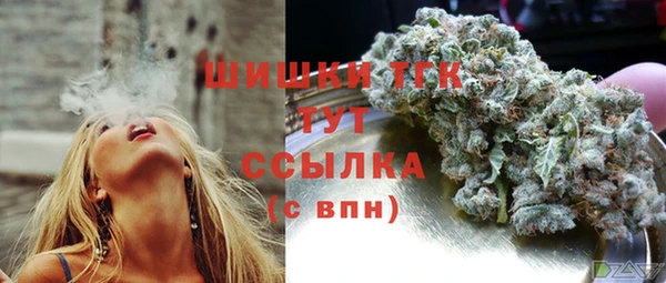 ECSTASY Богданович