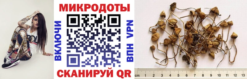 гидра ССЫЛКА  Светлый  Галлюциногенные грибы Magic Shrooms  купить закладку 